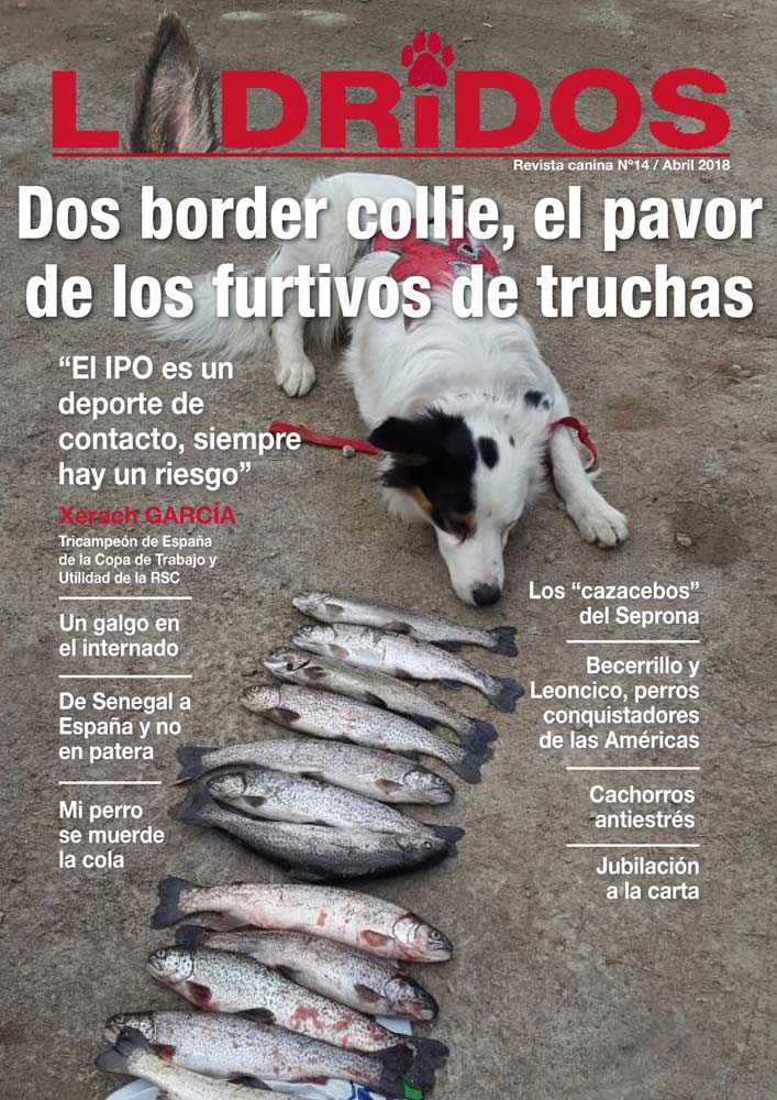 portada14