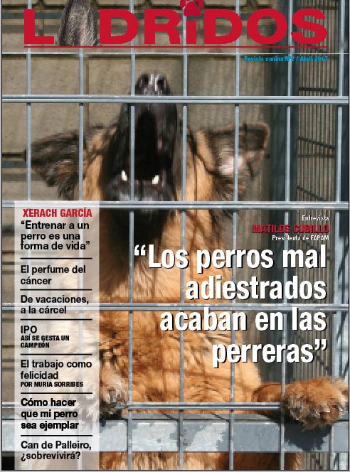 portada2